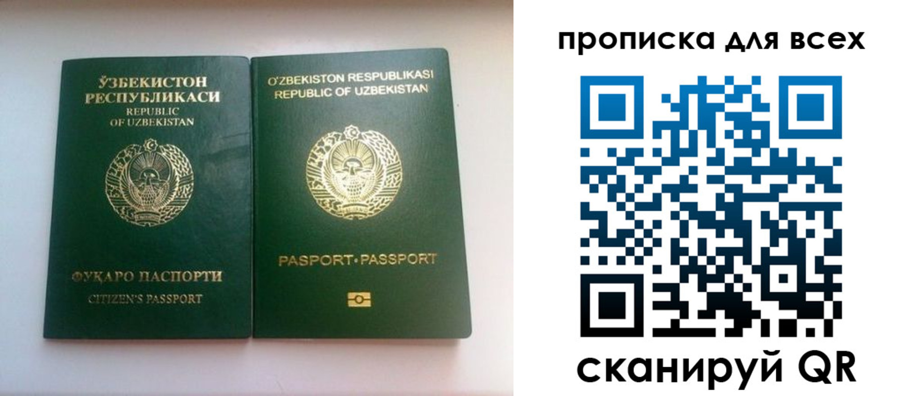 прописка для школы в Кемеровской области